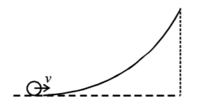 Rotational Motion mcq question image